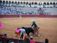 corrida31.jpg